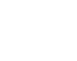 Partner Logo 7
